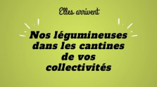 Offre cantines